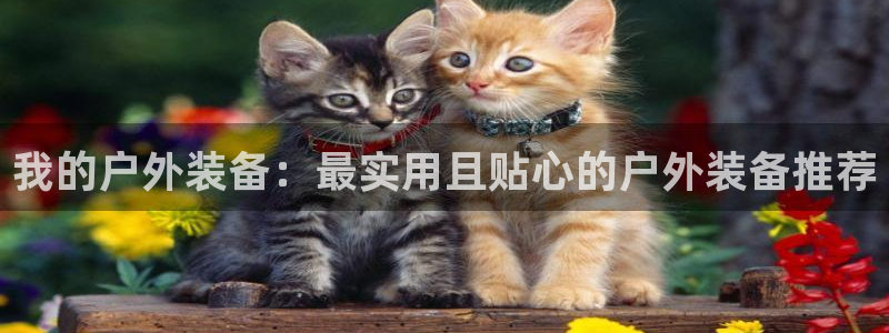 新宝GG链接