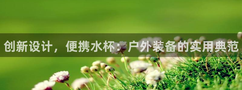 新宝gg 网址
