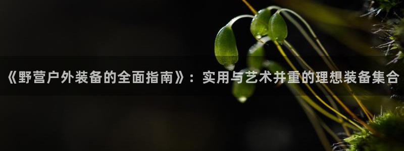 新宝gg_