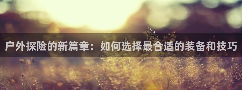 新宝GG创业奇迹