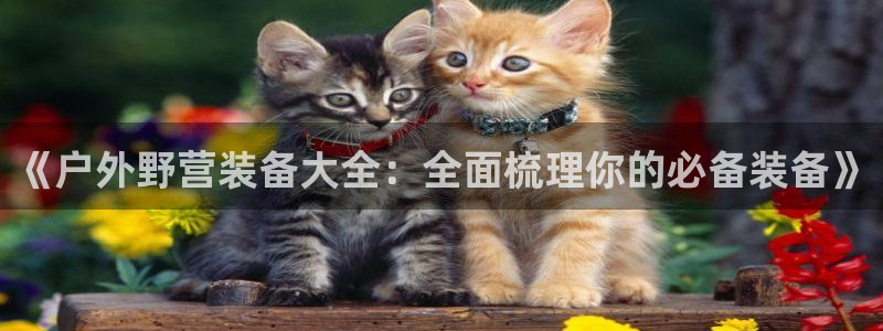 新宝gg__