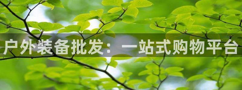 新宝gg注册q 26880