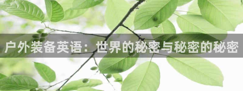 新宝gg真的
