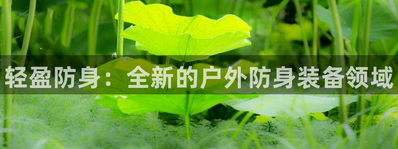 收新宝gg