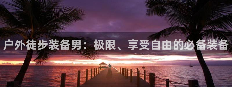 收新宝gg