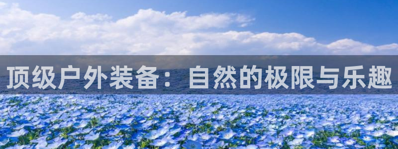 网站新宝GG