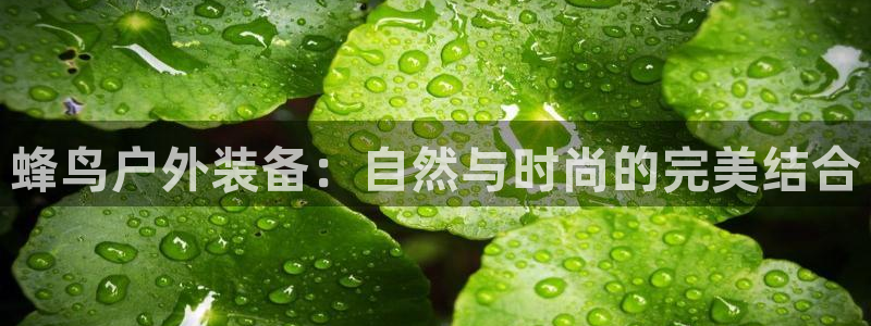 新宝gg申请账号