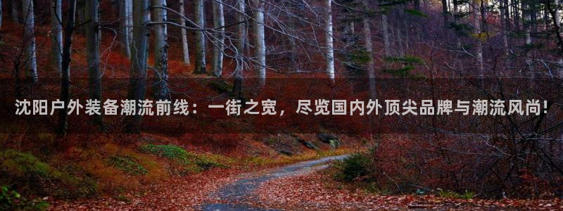 新宝gg注册 776317