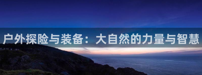 新宝gg cqdellar