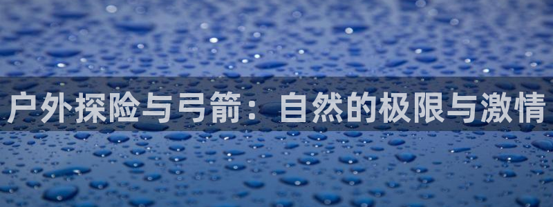 新宝GG管理
