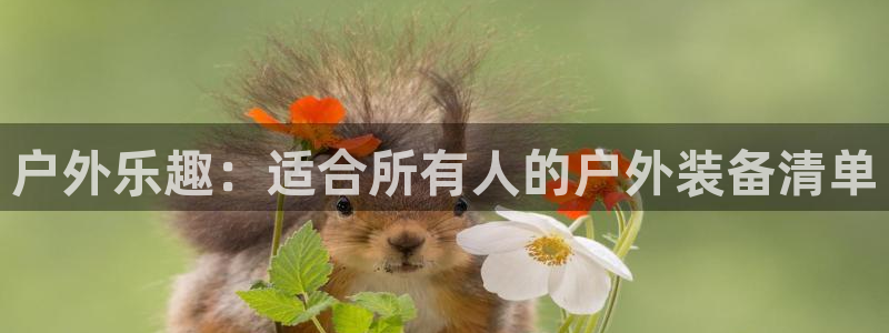 xbgg新宝gg