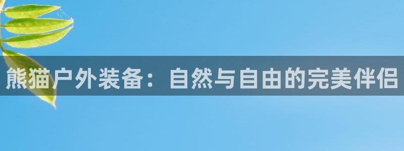 新宝gg ios下载