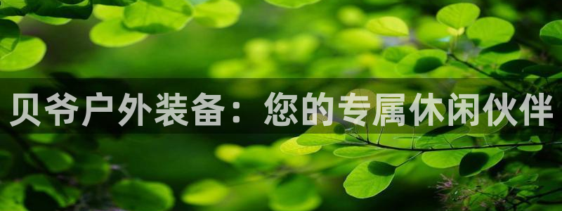 新宝gg如何代理