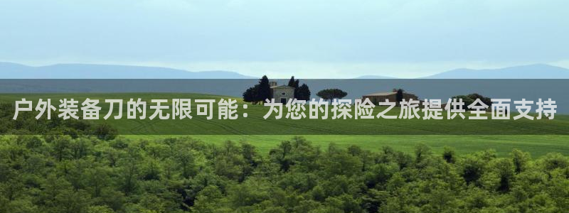 新宝gg平台开发