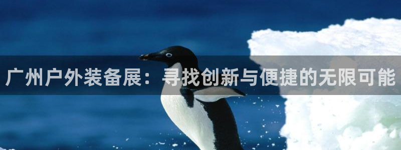新宝gg__