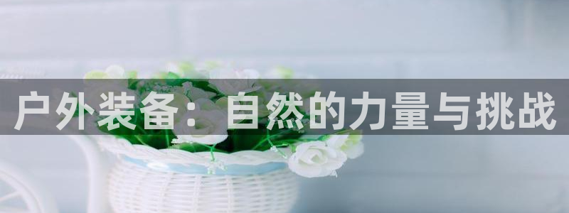 新宝gg提点