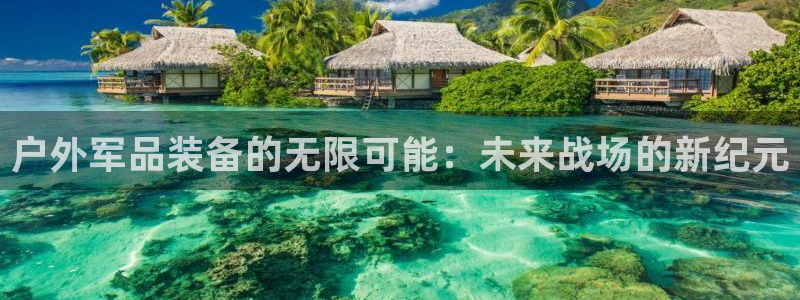新宝gg试玩