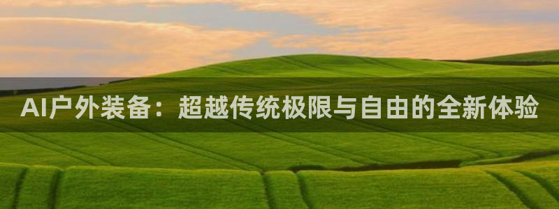 新宝gg 登陆