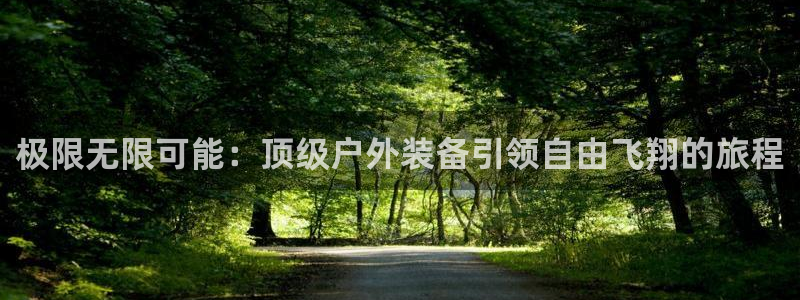 新宝gg手机