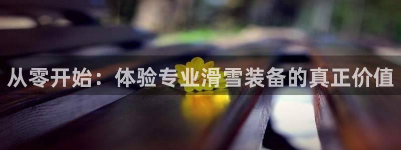新宝gg维护