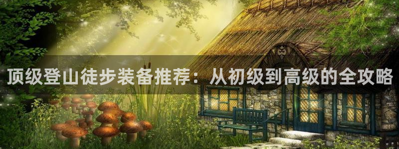 新宝gg打发