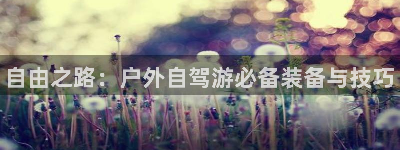 新宝gg作弊