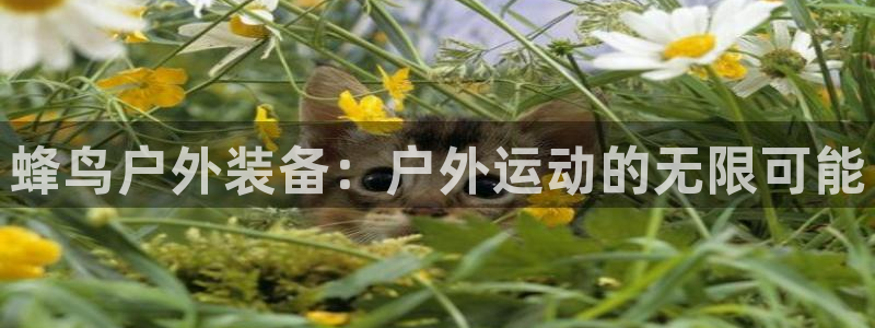 创造奇迹 新宝gg