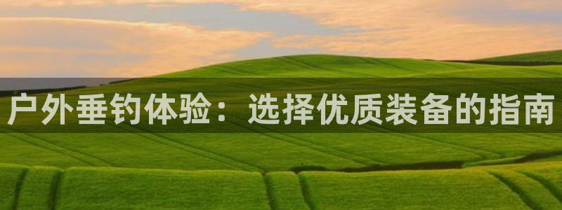 新宝gg娱乐平台