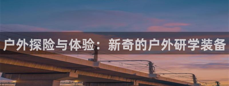 新宝gg助手