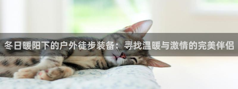 新宝gg打发