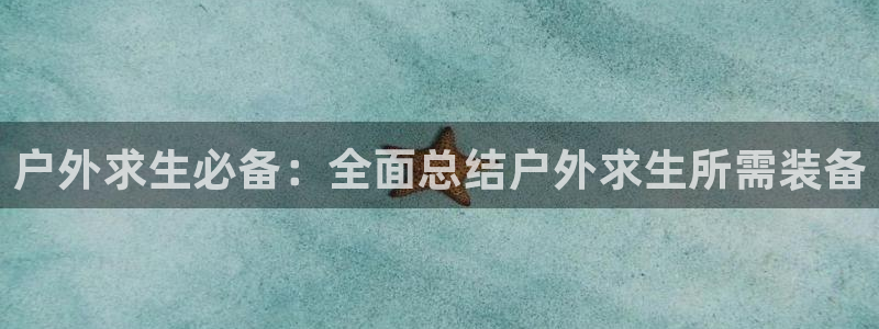 新宝gg辅助