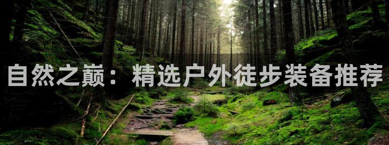 新宝gg怎么开户