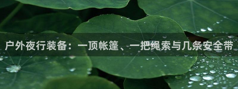 新宝GG网页