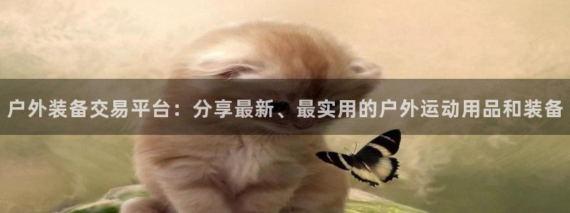新宝gg体彩