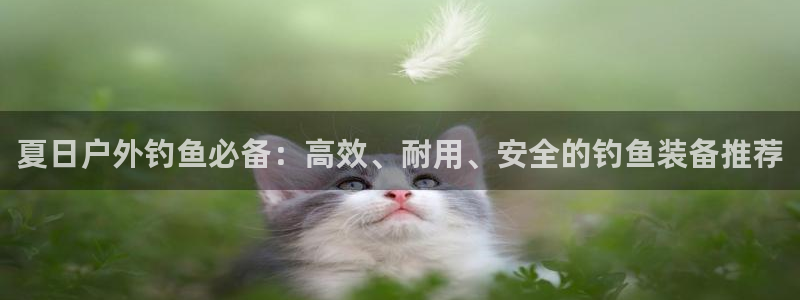 l新宝gg