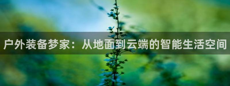 新宝gg套利
