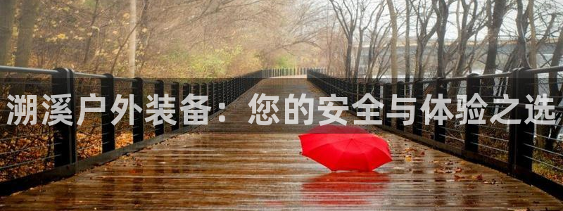 新宝GG苹果版