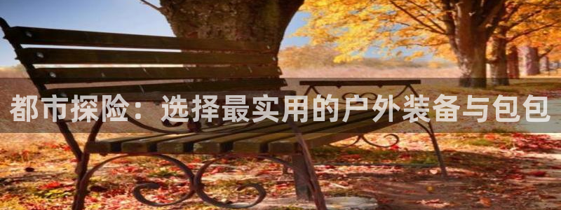 新宝哥gg