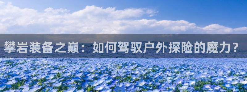 新宝gg用哪个浏览器