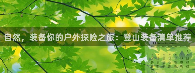 新宝GG 扣.772332