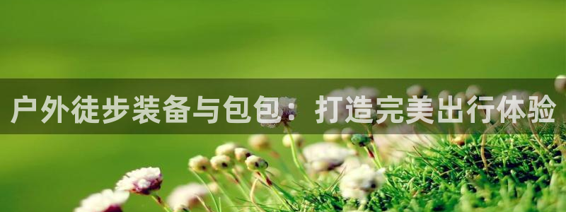 新宝gg挂机app