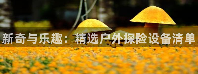新宝gg黑平台