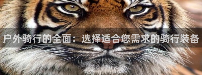 新宝gg返点