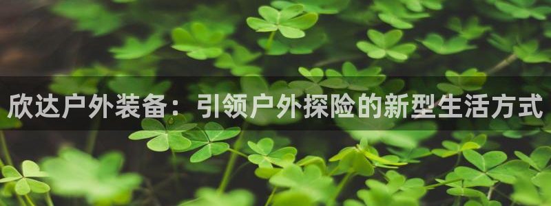 新宝gg维护