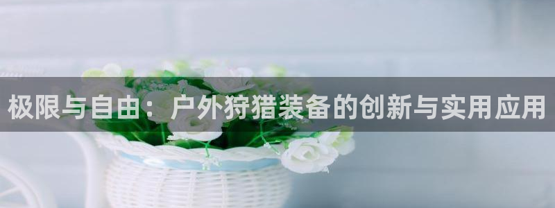 新宝gg什么
