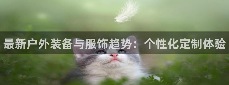 新宝gg 创