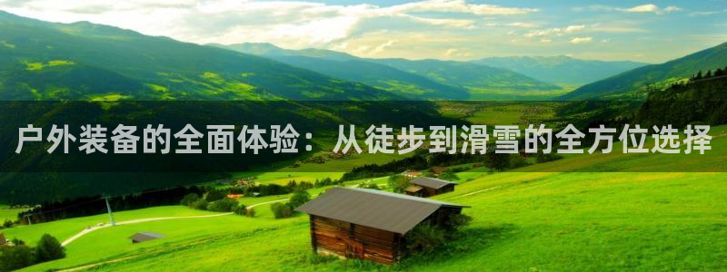 新宝gg是什么