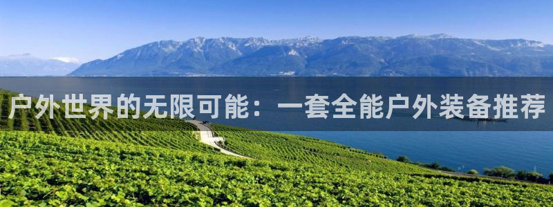 网站是新宝gg