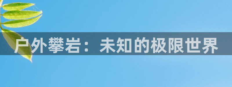 新宝gg体彩