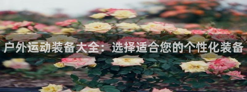 新宝gg试玩